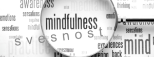 Read more about the article Mindfulness i briga o sebi: filozofski pristup životu